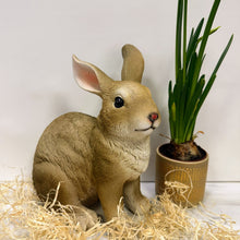 Lade das Bild in den Galerie-Viewer, Hase sitzend, braun, 24 cm