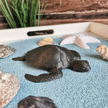 Lade das Bild in den Galerie-Viewer, Schildkröte, anthrazit/Glitzer 🖐