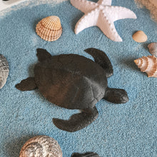 Lade das Bild in den Galerie-Viewer, Schildkröte, anthrazit/Glitzer 🖐