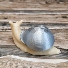 Lade das Bild in den Galerie-Viewer, Schnecke silber, 11,5 cm 🖐