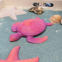 Lade das Bild in den Galerie-Viewer, Schildkröte, Neonpink 🖐