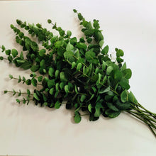 Lade das Bild in den Galerie-Viewer, Eukalyptus künstlich, 80 cm