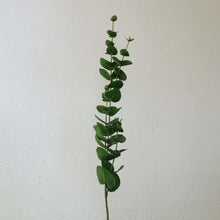 Lade das Bild in den Galerie-Viewer, Eukalyptus künstlich, 80 cm