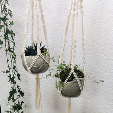 Lade das Bild in den Galerie-Viewer, WORKSHOP Makramee Blumenampel