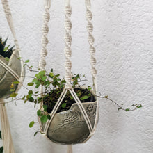 Lade das Bild in den Galerie-Viewer, WORKSHOP Makramee Blumenampel