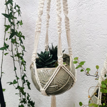 Lade das Bild in den Galerie-Viewer, WORKSHOP Makramee Blumenampel