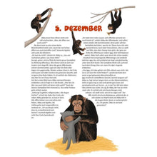 Lade das Bild in den Galerie-Viewer, Adventskalendergeschichte "Abby und ein kunterbunter Advent