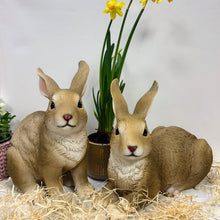 Lade das Bild in den Galerie-Viewer, Hase liegend, braun, 21 cm
