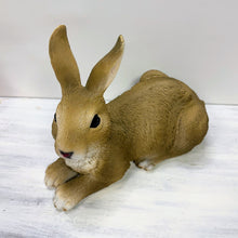 Lade das Bild in den Galerie-Viewer, Hase liegend, braun, 21 cm
