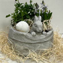 Lade das Bild in den Galerie-Viewer, Zementschale mit Hase, ø 14,5 cm
