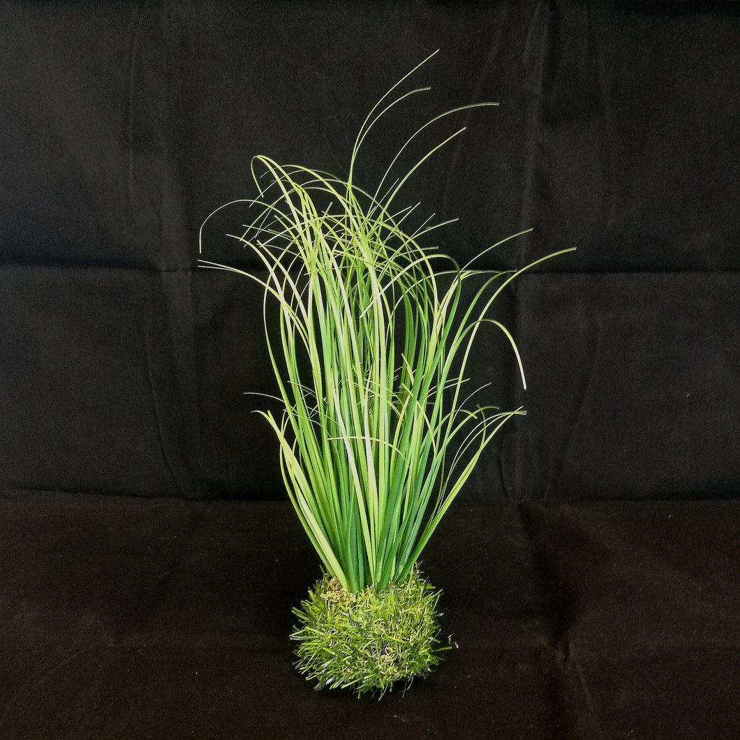 Gras mit Mooskugel, 38 cm