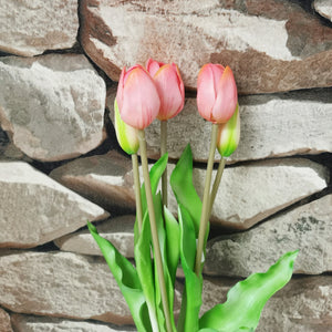 Tulpen Bund, ca. 34 cm